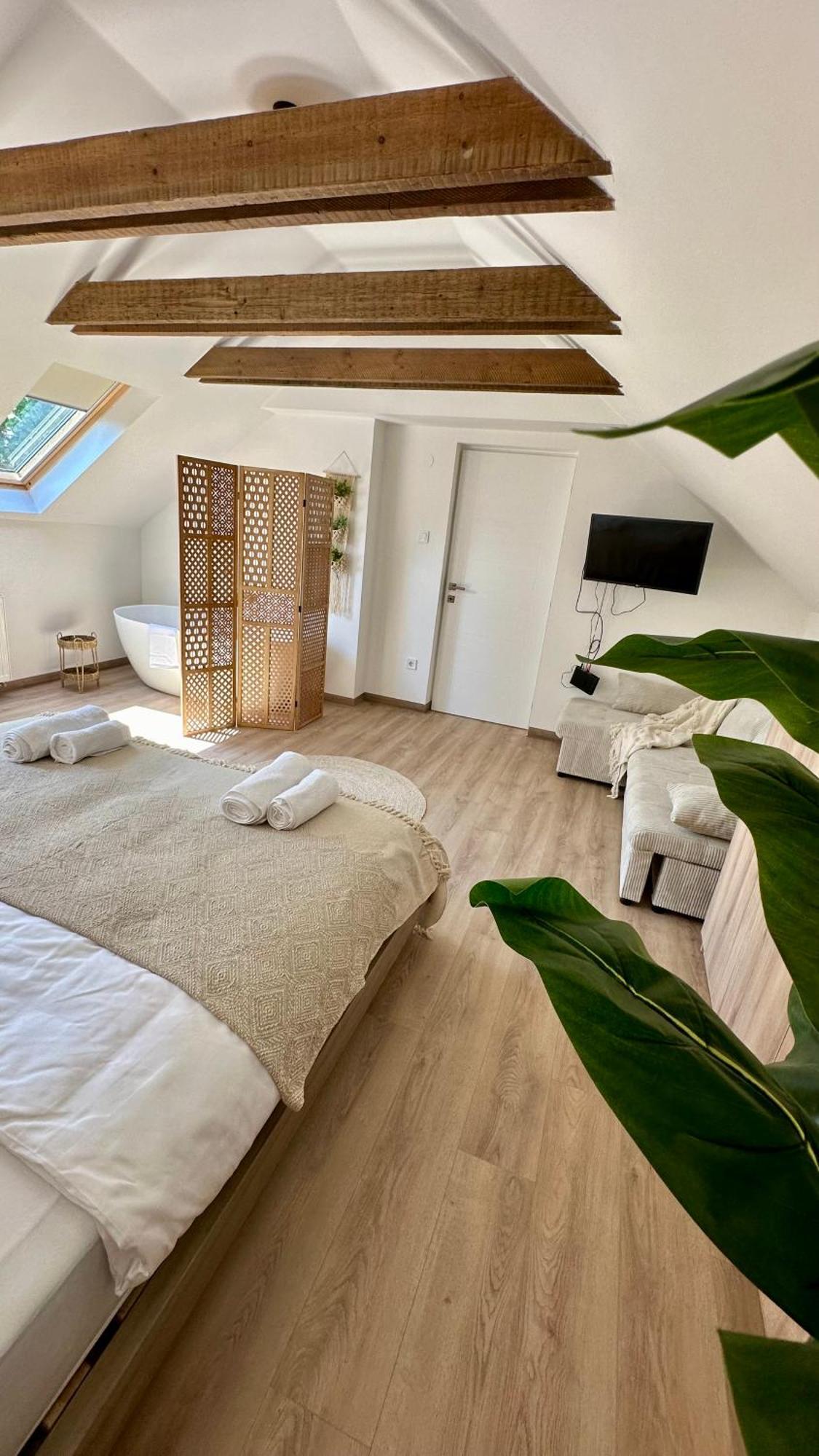 Villa Antara Szeged Kültér fotó
